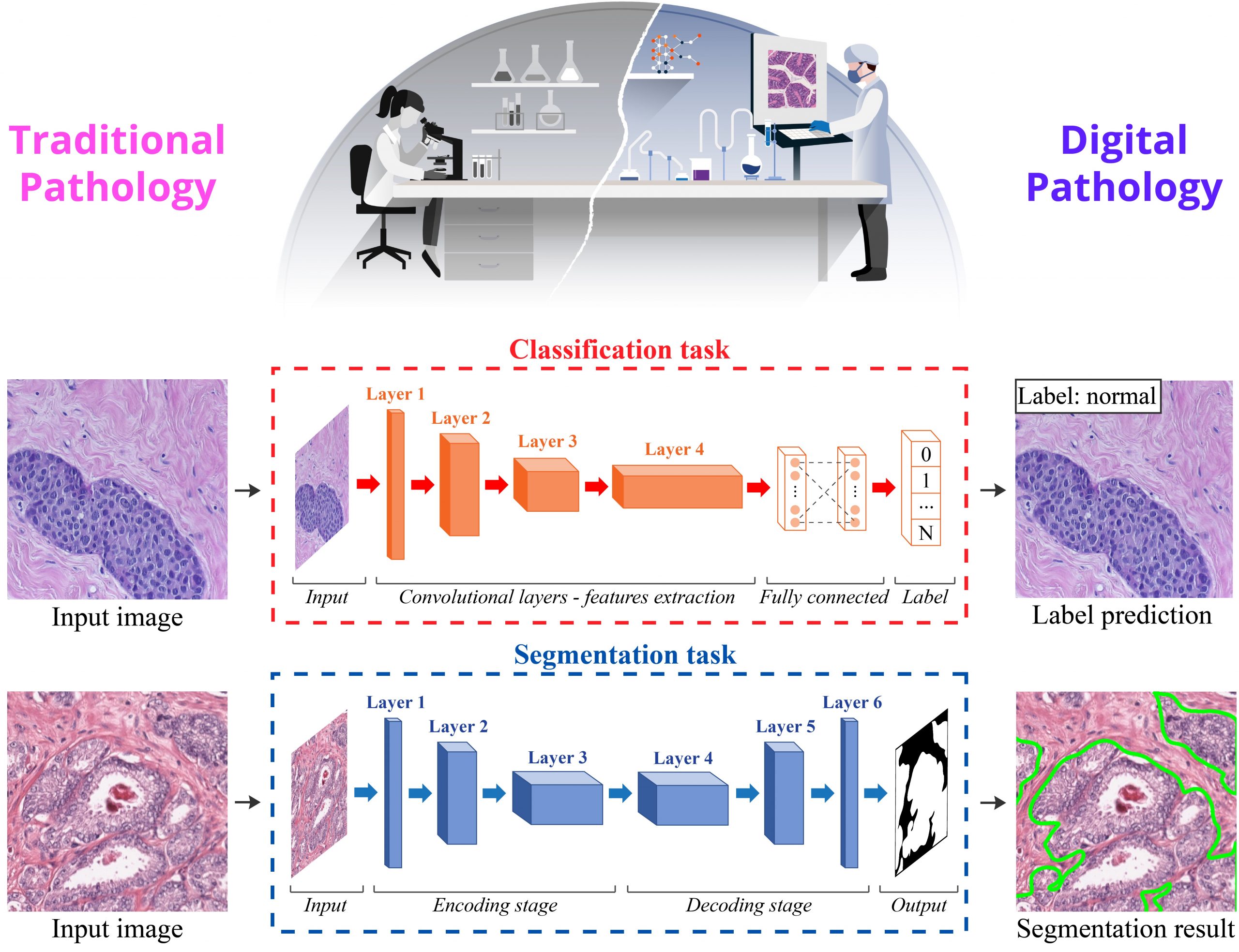 Medical Image Analysis using Innovative Intelligent Systems BIOLAB PoliTO